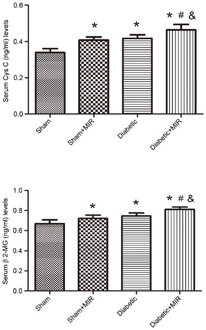 Serum Cys C And β2 Mg Levels In The Different Treatment Groups Values