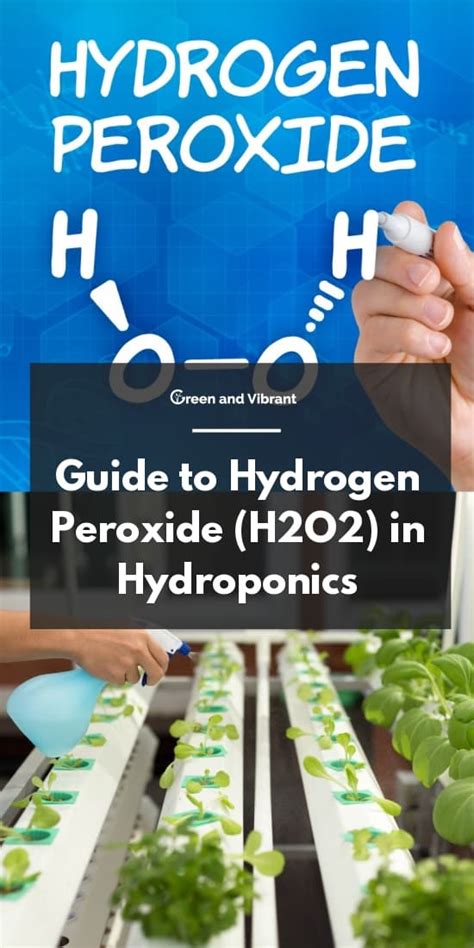 Guide To Hydrogen Peroxide H O In Hydroponics Trees