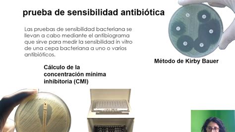 Pruebas de sensibilidad antibiótica por qué no funciona el