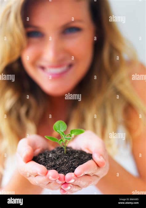 Hands Holding Sapling Stock Photo Alamy