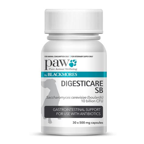 Buy Paw Blackmores Digesticare Sb Online Better Prices At Pet Circle