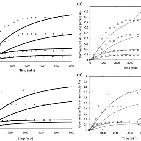 Daily Urinary A And Faecal B Excretion Of Total Mercury In