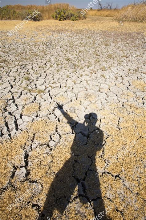 Kern Valley Wildlife Refuge Californias Central Editorial Stock Photo ...