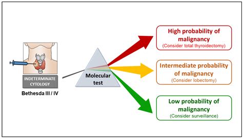 Jmp Free Full Text Molecular Tests For Risk Stratifying Cytologically Indeterminate Thyroid