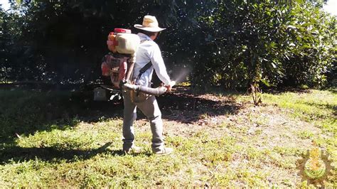 Aplicaciones De Caldo Sulfocálcico En Aguacate Para Control De ácaros