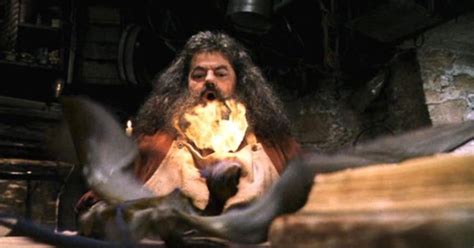 Harry Potter Hagrids Best Moments In The Franchise Ranked