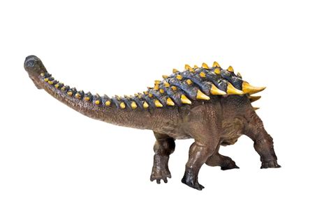 Premium Photo Ankylosaurus Dinosaur Isolated Background