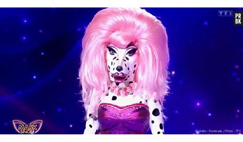 Mask Singer Le Dalmatien D Masqu Qui Se Cachait Sous Le Costume