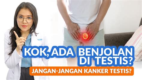 Teraba Benjolan Pada Testis Hati Hati Kanker Testis Youtube