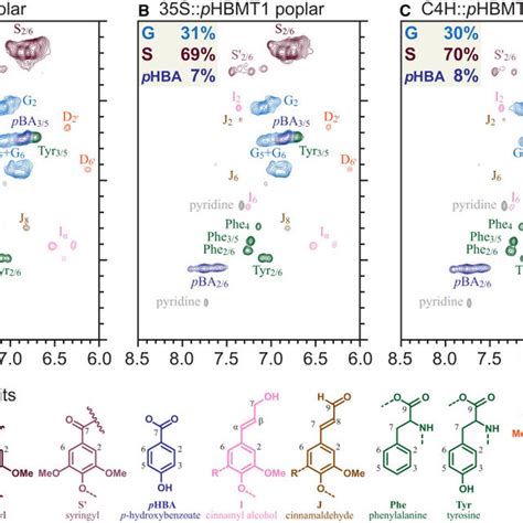 Lignin Analysis By 2d Nmr A C Representative Heteronuclear Single