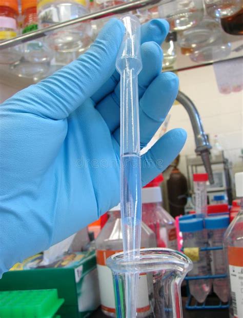 Laboratory Experiment in Science Research Lab Stock Photo - Image of ...