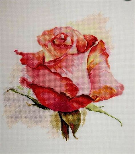 Pin by Oksana Bień on Ròze pojedyncze Rose cross stitch pattern