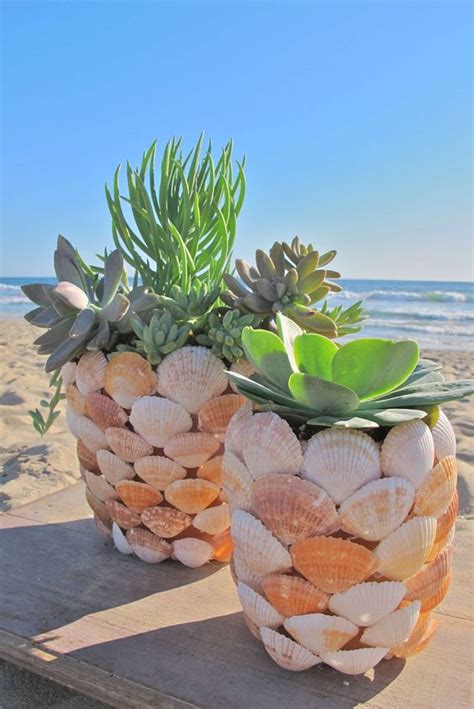 Ideias Para Decorar Conchas Do Mar