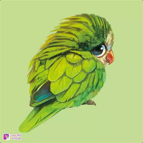 Colorful Parrot Art