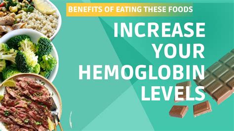 Hemoglobin Increase Food How To Increase Hemoglobin Foods To