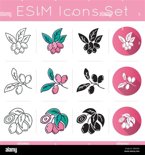 Brazilian Flora Icons Set Miracle Fruit Linear Black And Rgb Color