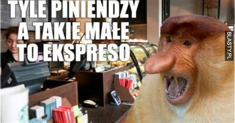 Najlepsze memy o kawie na Dzień Kawy Spróbuj się nie zaśmiać Kobieta