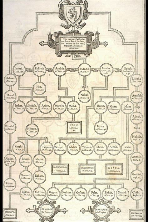 19) CALEB FAMILY TREE | Bible genealogy, 1611 king james bible, Family ...