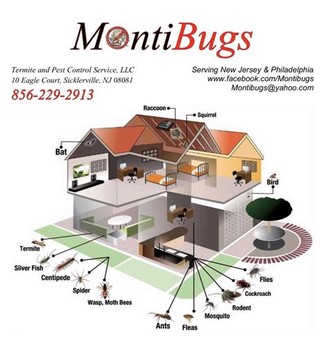 Monti Bugs Termite And Pest Control Sicklerville Nj Nextdoor