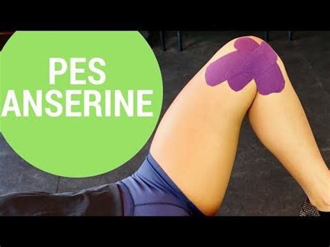 Pes Anserine Knee Bursitis Stretches & Exercises - Ask Doctor Jo - YouTube | Bursitis knee, Knee ...