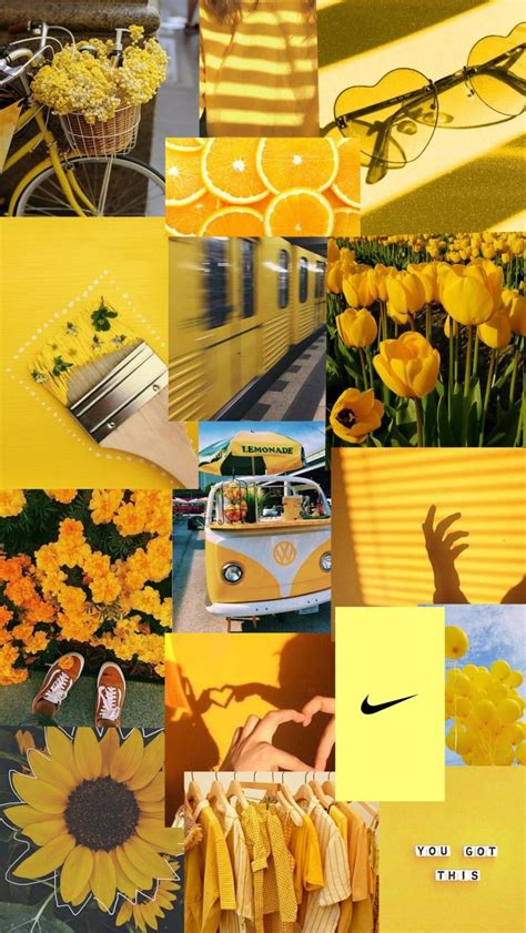 Collage Amarillo Flores Amarillas Fondos De Pantalla Amarillos Cosas Amarillas