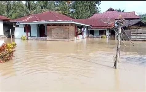 Liputan Gampong News Ratusan Rumah Terendam Banjir Di Pidie Jaya