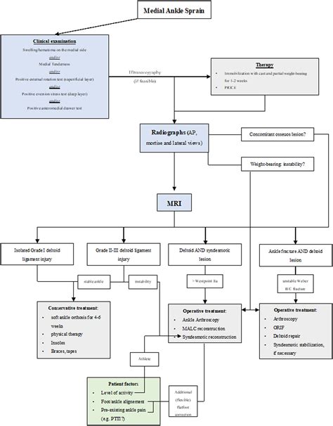 Sprain of the Medial Ankle Ligament Complex - Foot and Ankle Clinics