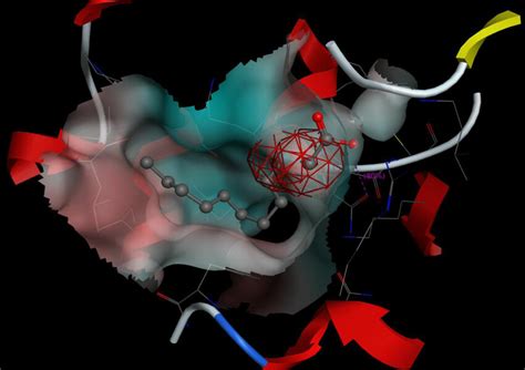 The Docking Conformational Position For Protein B Z With Ligand