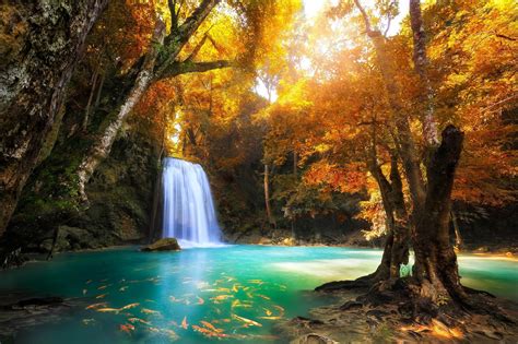 Waterfall Paradise Wallpapers - Wallpaper Cave