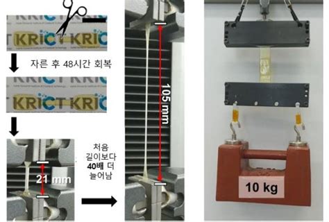 화학연·부경대 세계 최고 강도 자가치유 신소재 개발 연합뉴스