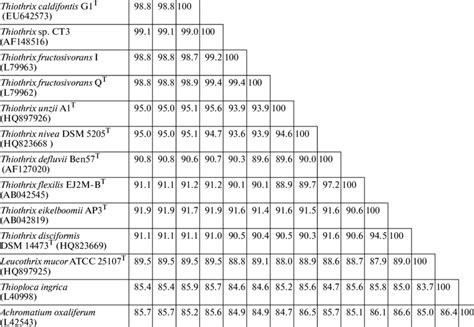 Similarity level (%) based on comparative analysis of the 16S rRNA gene ... 