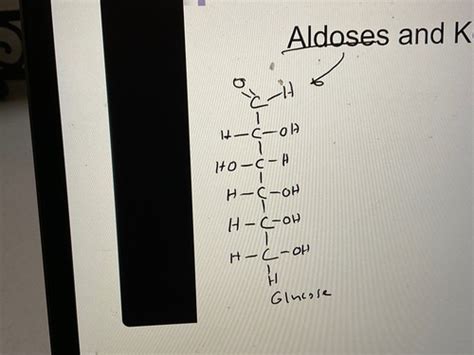 Chapter Carbohydrates Flashcards Quizlet