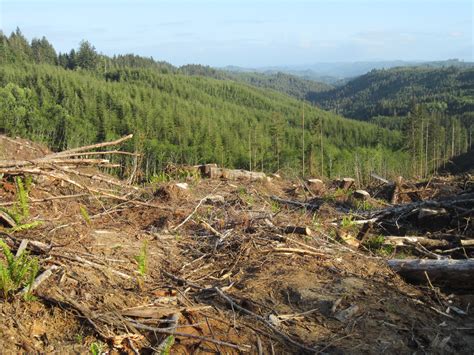 State Forest Agency Suppresses Its Own Aerial Spray Info - Beyond Toxics