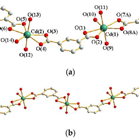 A Coordination Environment Of Cd II Ion In 2b Symmetry