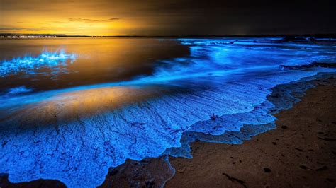 La Playa Española Con Uno De Los Fenómenos Bioluminiscentes Más Espectaculares Del Mundo Uppers