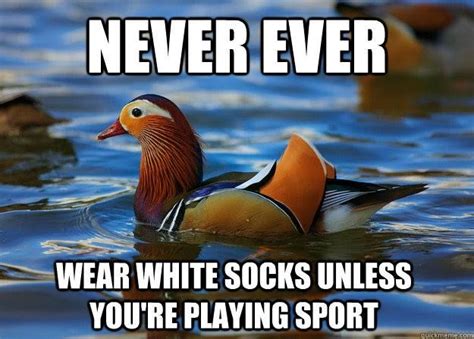 25 best Sock Memes images on Pinterest | Sock, Socks and Boot socks