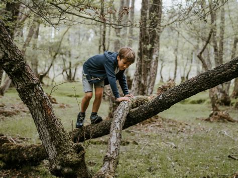 O Passer Le Nouvel An Avec Les Enfants Chilow M Dia