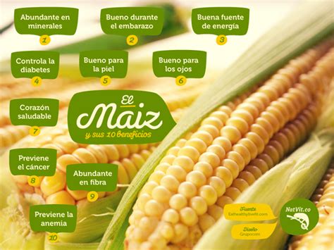 Infografia Del Maiz Nutricional Nutritivo Alimentos NBKomputer