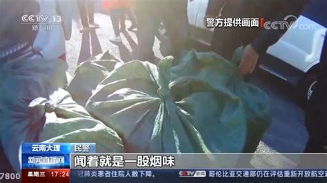 云南摧毁特大跨境制售假烟网络 客运车夹带假烟 警方查获近7000条社会法制好看视频