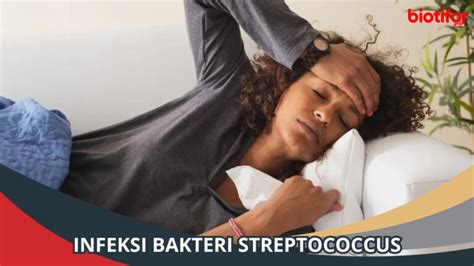 Infeksi Bakteri Streptococcus Gejala Penyebab Diagnosis Dan