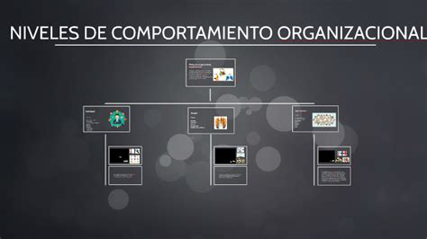 Niveles De Comportamiento Organizacional By Claudia Alejandra Reynoso