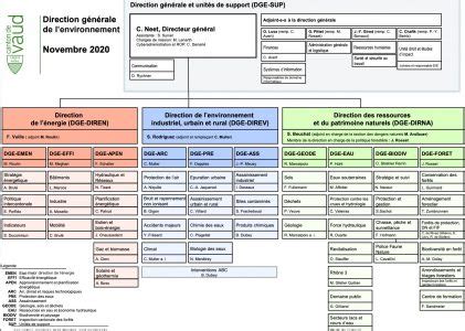 Organigramme de la DGE direction générale de l environnement