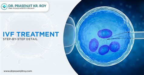 What Is Intracytoplasmic Sperm Injection Icsi Ivf Treatment By Dr Prasenjit Roy Medium