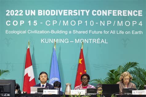 Cop15 Cosa Significa Il Global Biodiversity Framework Per La