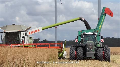 Claas Fendt Rapsernte Canola Harvest 2019 Youtube