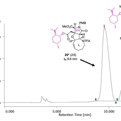 Chiral Hplc Profiles For The Separation Of Menthyl Ester Diastereomers Download Scientific