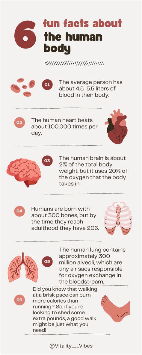 amazing human body  fascinating facts  didnt