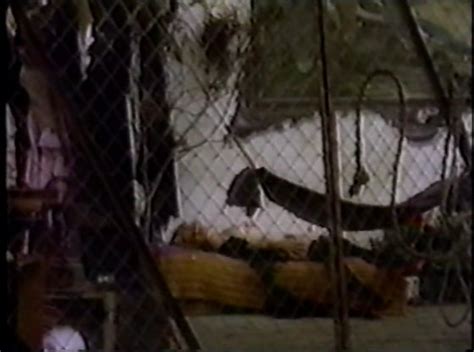 Naked Angelica Chain In Deseos