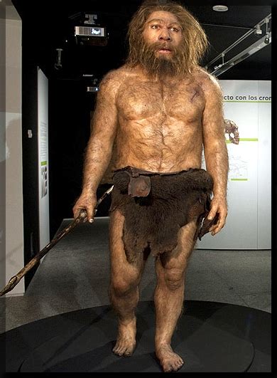 AVENIR 2: Homo neanderthalensis