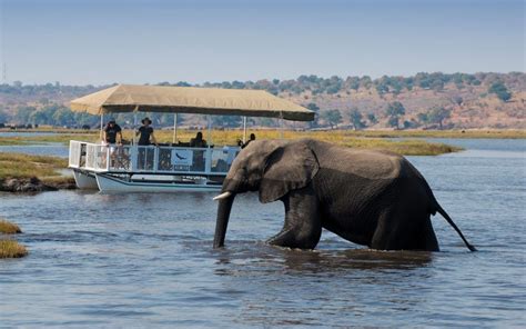 Chobe National Park in Botswana - Next Destinium